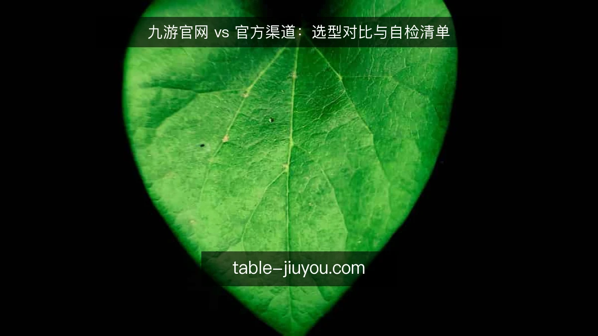 九游官网 vs 官方渠道:选型对比与自检清单