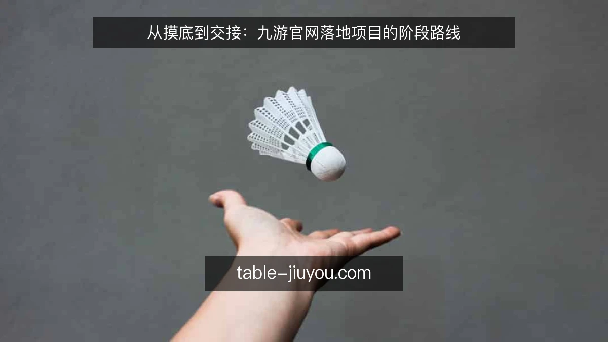 从摸底到交接：九游官网落地项目的阶段路线